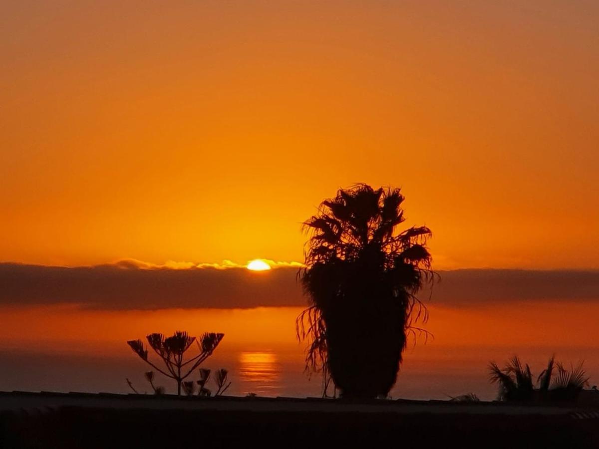 Апартаменти Vina Del Mar Плайя-де-лас-Амерікас Екстер'єр фото
