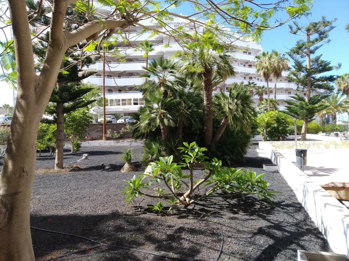 Апартаменти Vina Del Mar Плайя-де-лас-Амерікас Екстер'єр фото